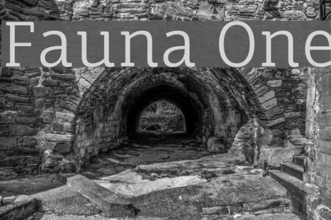 Fauna One Font examples