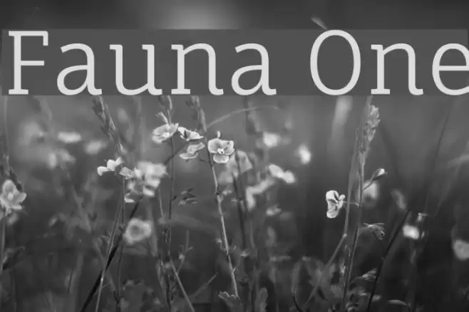 Fauna One Font examples