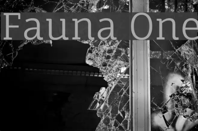 Fauna One Font examples