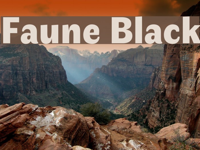 Faune Black Font examples