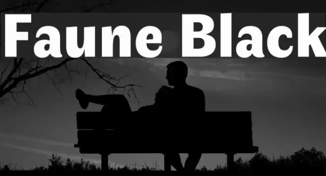 Faune Black Font examples
