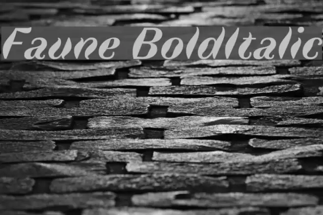 Faune BoldItalic Font examples