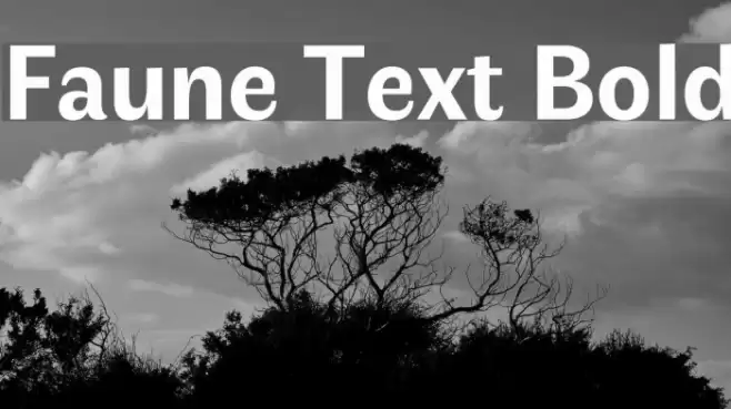 Faune Text Bold Font examples