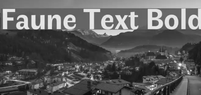 Faune Text Bold Font examples