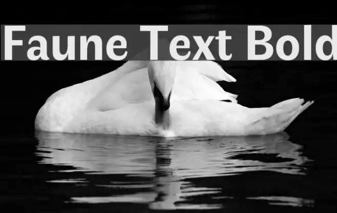 Faune Text Bold Font examples