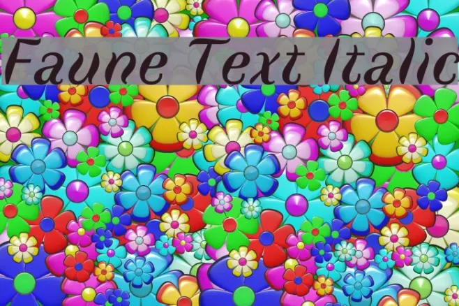 Faune Text Italic Example 1