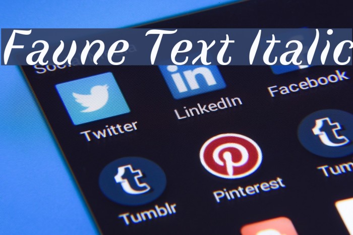 Faune Text Italic Font examples
