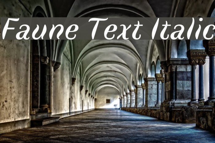 Faune Text Italic Font examples