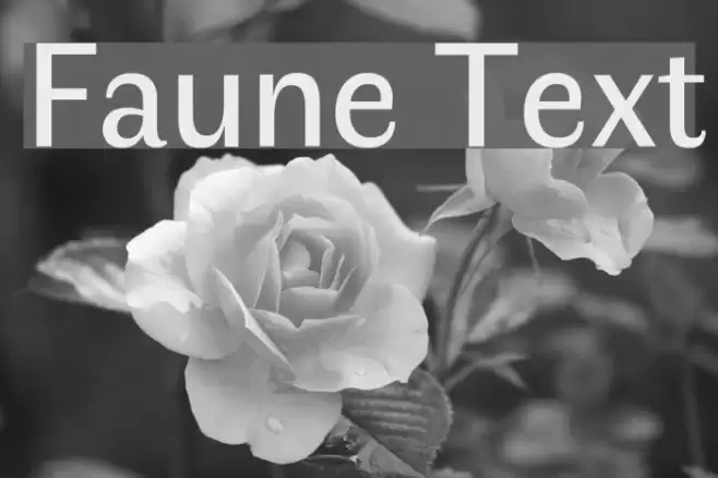 Faune Text Font examples