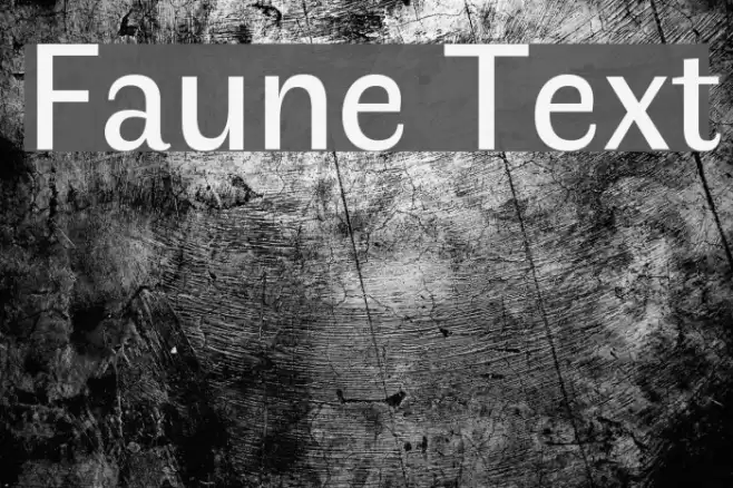 Faune Text Font examples
