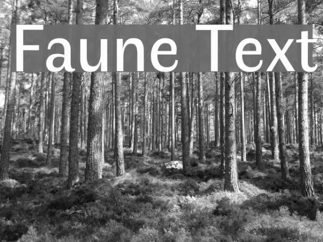 Faune Text Font examples