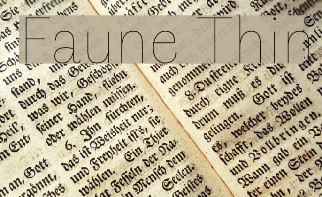 Faune Thin Example 2