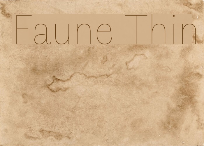 Faune Thin Font examples