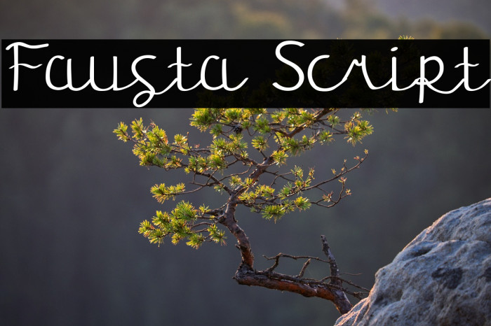 Fausta Script Example 1