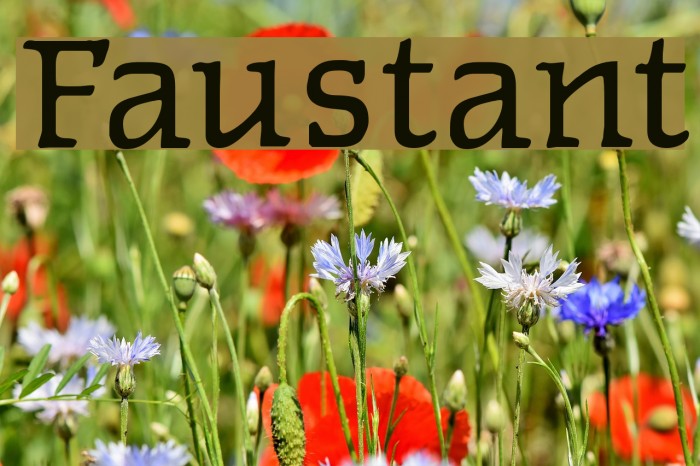 Faustant Font examples