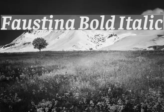 Faustina Bold Italic Font examples