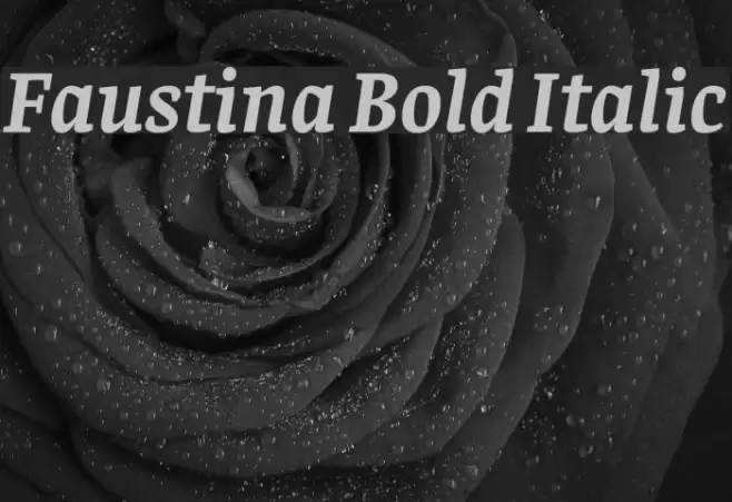 Faustina Bold Italic Font examples