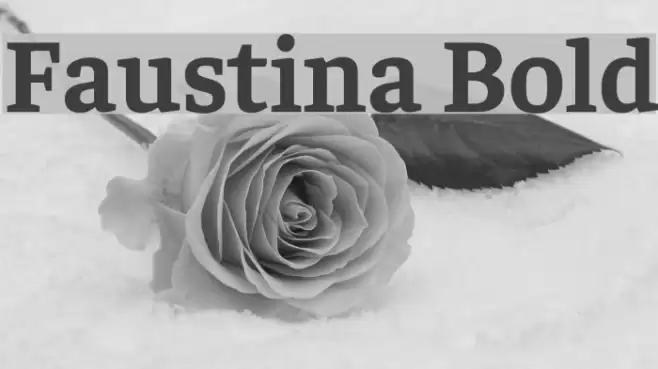 Faustina Bold examples