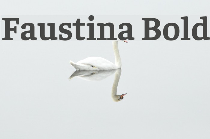 Faustina Bold Font examples