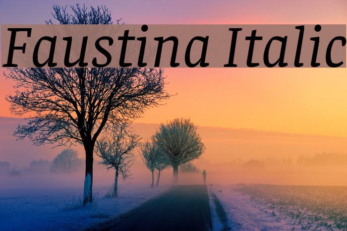 Faustina Italic Fonte examples