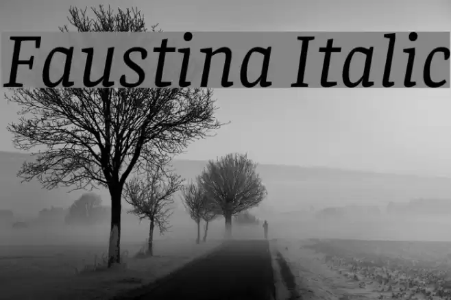 Faustina Italic Font examples