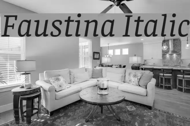 Faustina Italic Font examples