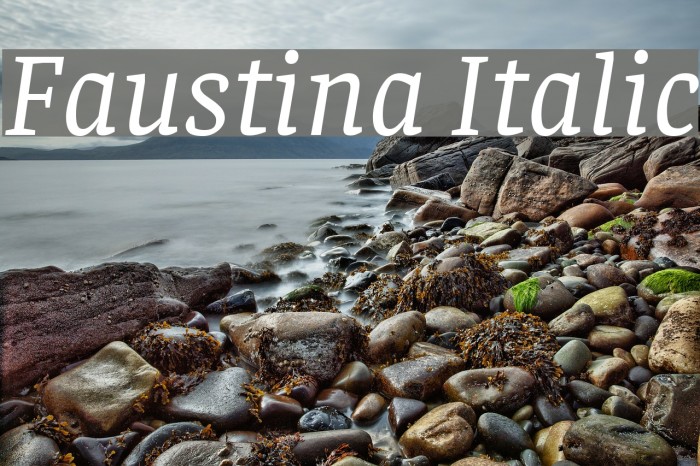 Faustina Italic Fonte examples