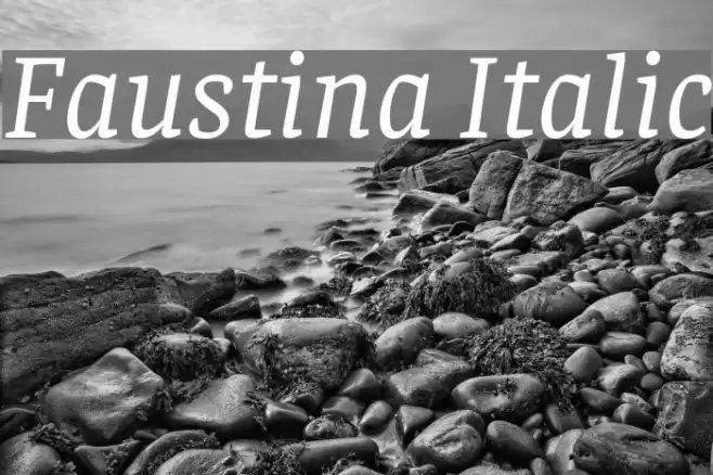 Faustina Italic Font examples