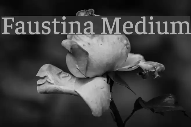 Faustina Medium examples