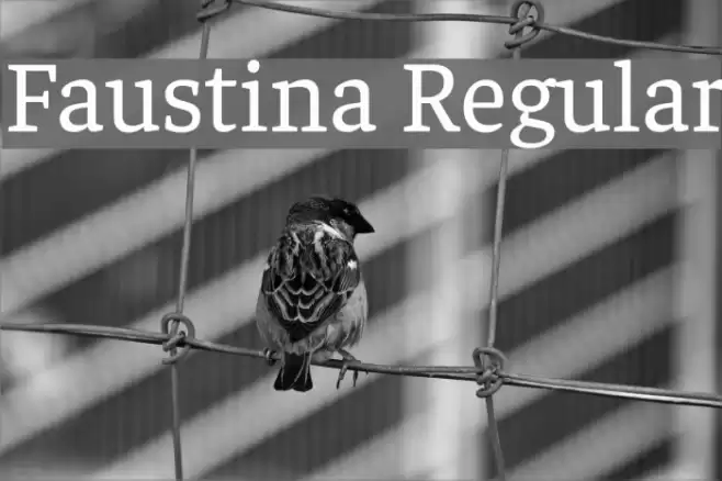 Faustina Regular Caratteri examples