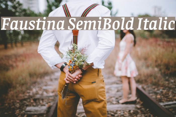 Faustina SemiBold Italic Font examples