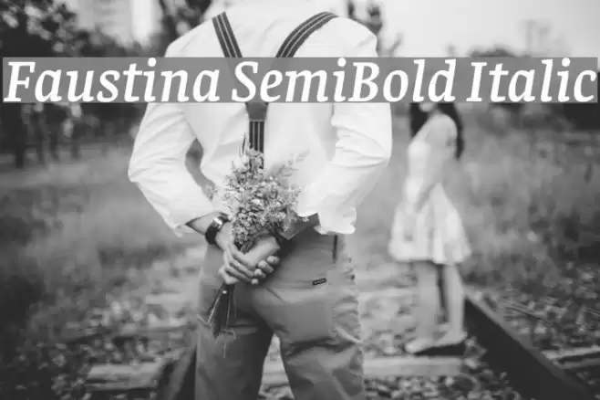 Faustina SemiBold Italic Schriftart examples