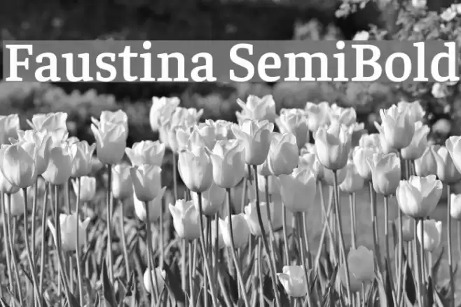 Faustina SemiBold examples