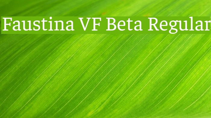 Faustina VF Beta Regular Font examples