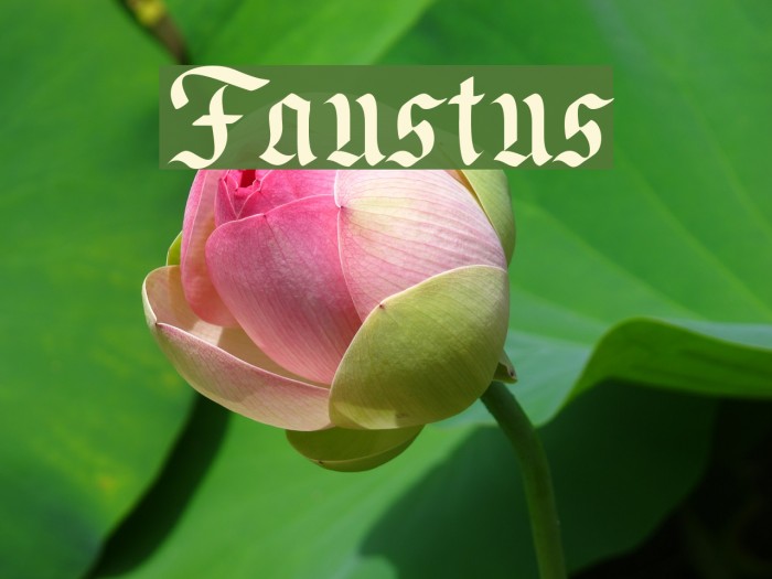 Faustus Font examples