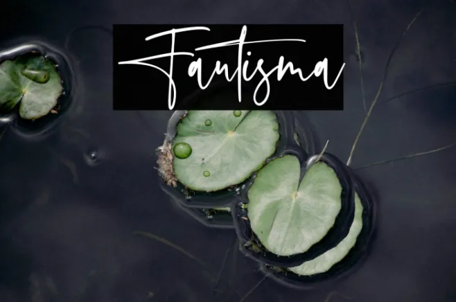 Fautisma Example 2