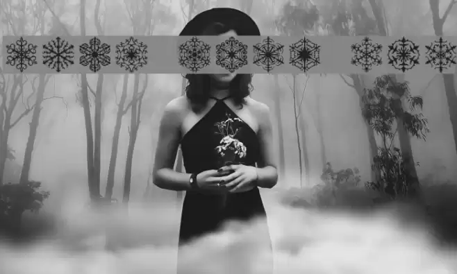 Faux Snow BRK Polices examples