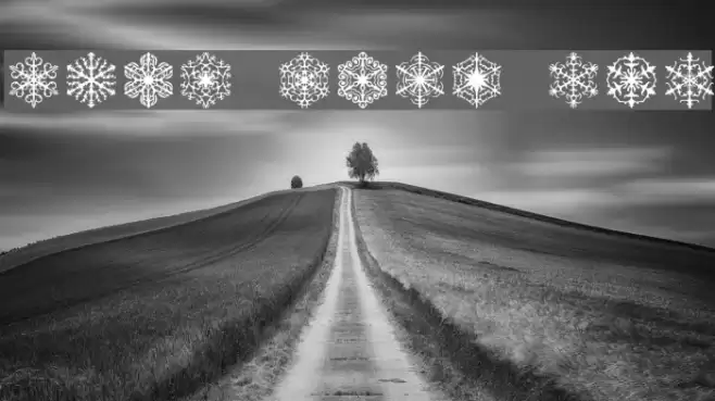 Faux Snow BRK Polices examples