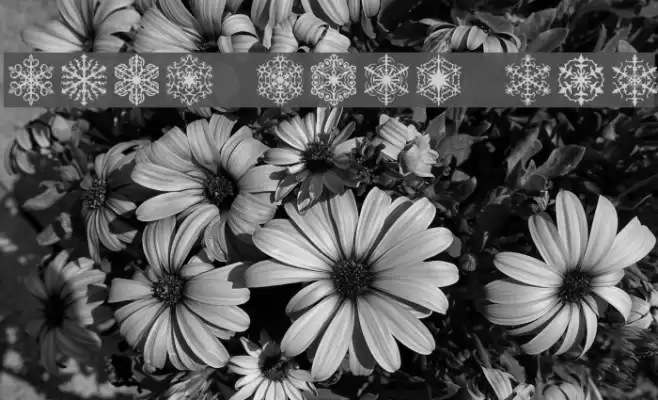 Faux Snow BRK Polices examples