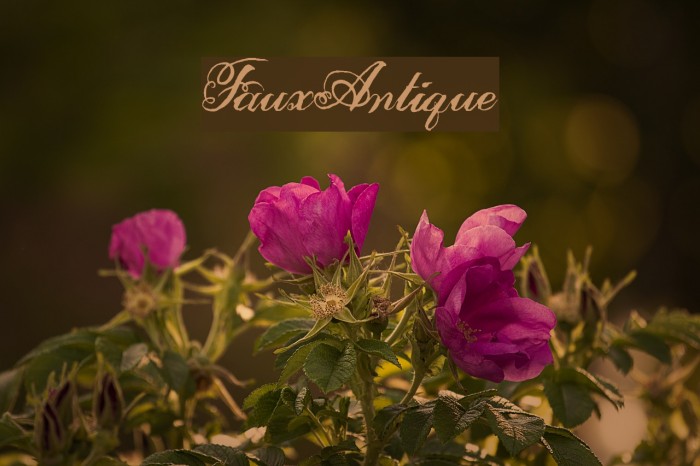 FauxAntique Font examples