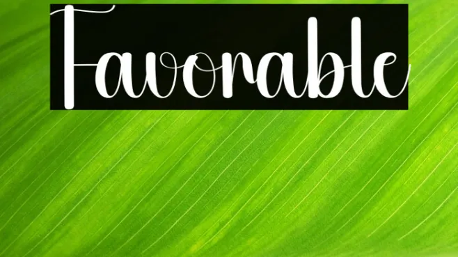 Favorable Example 3