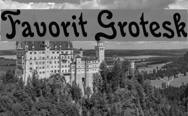 Favorit Grotesk Font examples