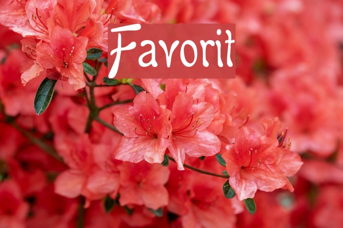 Favorit Font examples