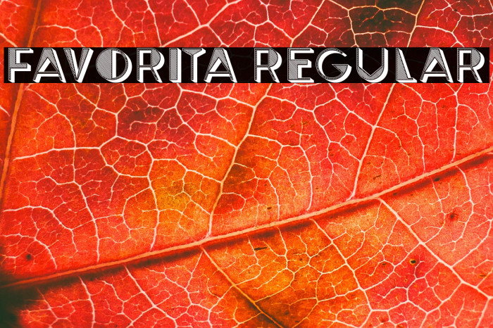 Favorita Regular Example 1