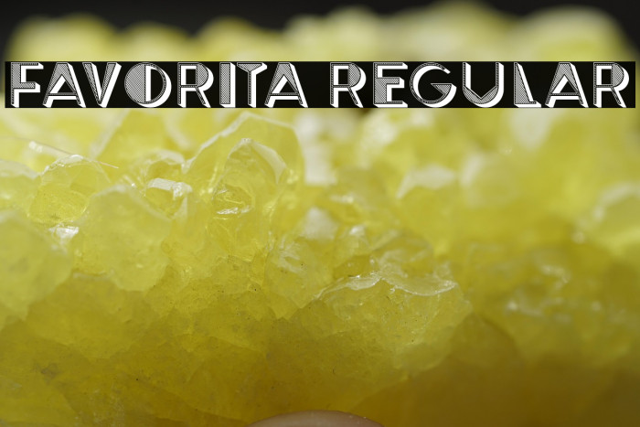Favorita Regular Example 3