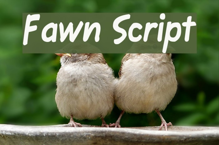 Fawn Script Font examples