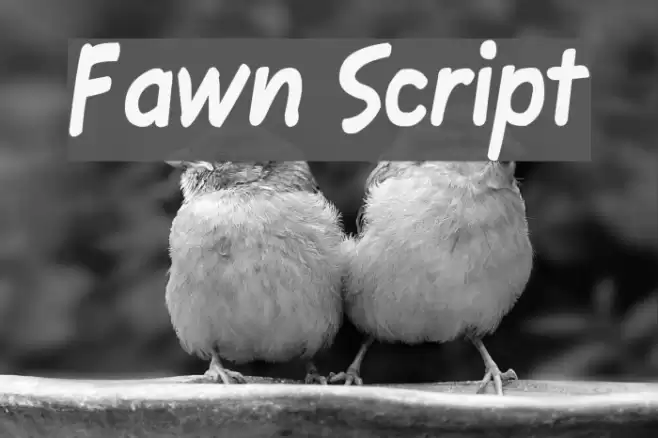 Fawn Script Font examples