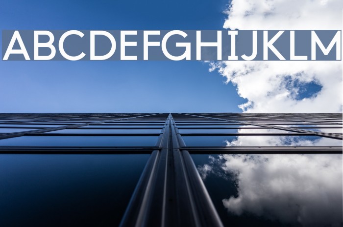 Fax Sans Beta Example 2