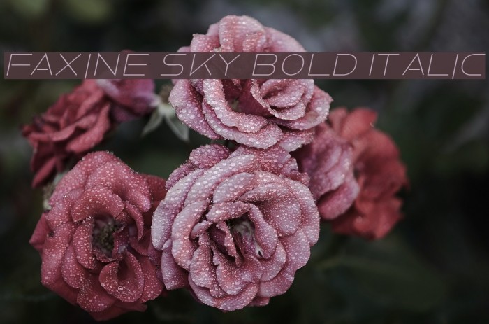Faxine Sky Bold Italic Font examples