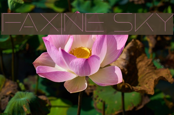 Faxine Sky Font examples